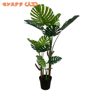 lHϗtA tFCNO[ ^ lH  lHA lHϗt CeAO[  ItBX   tFCNO[ lHϗtA { ^ rOIt