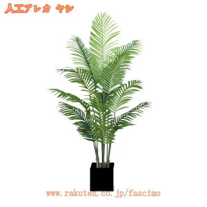 Ύ tFCNO[ ^ lHϗtAlH A {ɂ   z[ x_ rO ^  p ȒP sv Q̐SzȂ 邭u