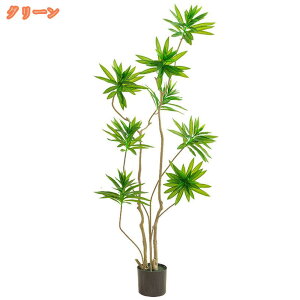 Ύ tFCNO[ ^ lHϗtAlH A {ɂ   z[ x_ rO ^  p ȒP sv Q̐SzȂ 邭u