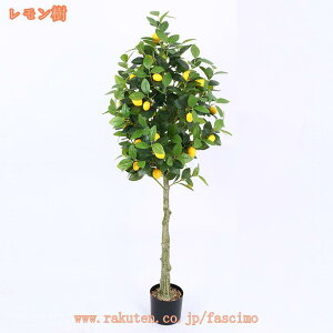 tFCNO[ ^ Ύ lHϗtA CeA ډB |bgt ̐bsv ȒPb炸 a m ItBX ܂ rO X JX J j lHϗtA t