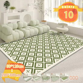500円OFFクーポン ラグ カーペット 2畳 北欧 洗える 冬用 じゅうたん 3畳 4畳 リビングラグ おしゃれ モダン 抽象的 センターマット 防音 マット 床暖房 ホットカーペット対応 吸水 防ダニ 抗菌防臭 リビングマット モダン 抽象的 西海岸 新居お祝い fascimo
