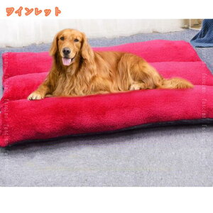 500~OFFN[| ybgxbh `  L q ^̂߂ ybgp}bg p}bgӂӂ팢 ybgpNbV _炩 |₷ ~ H~ ~p ۉh g 