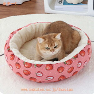 1000~OFFN[| ybgxbh L  xbh 50×50cm ӂӂ ~ 􂦂 ybg\t@[ h[ic^ h g  xbh 􂦂 ybg NbV L ^p ybgpi ~ 