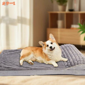 1000~OFFN[| ybgxbh XNGA^ 􂦂 ybg }bg xbh Lp _炩 xbh ybgnEX NbV 􂦂  L ybg xbh ϊ ^pybgxbh XN