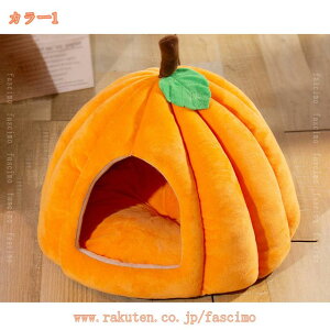 1000~OFFN[|  xbh h[ pxbh ~ ybg xbh  p  ܂肽 ~ g ۉh ^ ybgpi ӂӂ ӂӂ ybgnEX xbg 