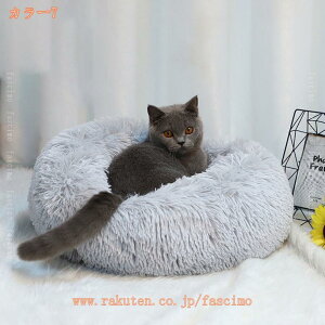 1000�~OFF�N�[�|�� �y�b�g�p�x�b�h �N�b�V���� �y�b�g�Q�� �ӂ�ӂ� �� �L �}�b�g�n�E�X S�T�C�Y ���^�� ���^�� �L ���킢�� �􂦂� ��v �ӂ�ӂ� �������� �y�b�g�x�b�h �g���� ���� �N�b�V��