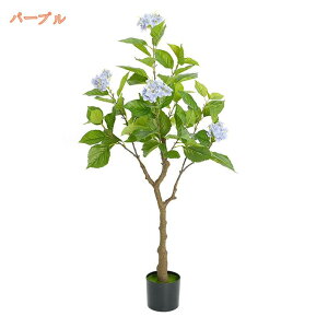 2000~OFFN[| tFCNO[ ^  lHϗtA  sv ȒP R rO  i` JXj A CeA  j ze [ z