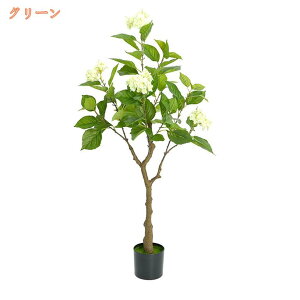 zԂ̖ AWTC ϗtA  CeA 傫 sv ȒP R hJr { tFCNO[  A JtF  rO Lb` Mtg 