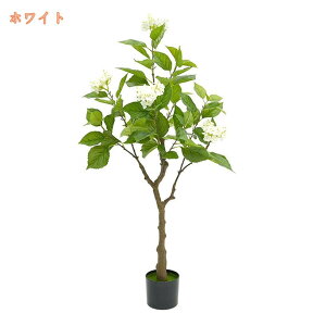 zԂ̖ AWTC ϗtA  CeA 傫 sv ȒP R hJr { tFCNO[  A JtF  rO Lb` Mtg 