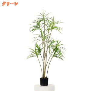 1000~OFFN[|  ϗtA O[CeA A hZi tFCNO[ JtF i` ^ {  O  rO ItBX er tFCNA 