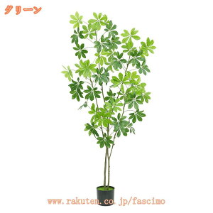 VFt ϗtA  CeA 傫 sv ȒP R hJr { tFCNO[  A JtF  rO Lb` Mtg 蕨 j