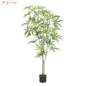 tFCNO[ ^ VFt  ϗtA CeA  sv ȒP  j v[g Mtg A c ItBX  X ze L R JXj