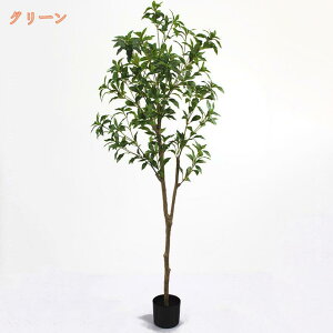 1000~OFFN[|  ϗtA O[CeA A n AZr tFCNO[ JtF i` ^ {  O  rO ItBX er tFCNA