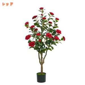 ւ̖ R ϗtA  CeA 傫 sv ȒP R hJr { tFCNO[  A JtF  rO Lb` Mtg 蕨 