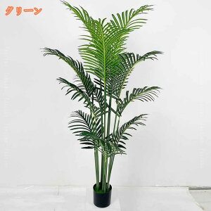 AJV ϗtA lH tFCNO[ rO  ItBX l炵  R V  CeAO[ i` _ k ͂Ȃ h  A 傫 {