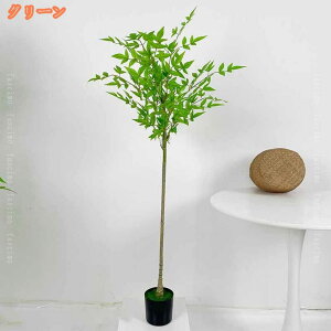 tFCNO[ ϗtA tFCN | ou[ lHϗtA A { CeA  O gC A  rO ItBX  lHϗt hL R sv 