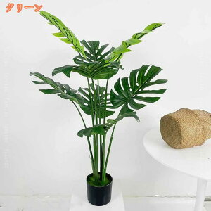 tFCNO[ ϗtA tFCN Xe lHϗtA A { CeA  O gC A  rO ItBX  lHϗt hL R sv 