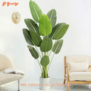 tFCNO[ ^  tFCN 傫  A {  Xg`AEMl ͂Ȃ i̖ ȒP sv QȂ  GgX lH 