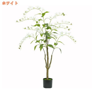 300~OFFN[| tFCNO[ ^  tFCN 傫  A {  仂̉ 仂̖ ͂Ȃ i̖ ȒP sv QȂ  Gg