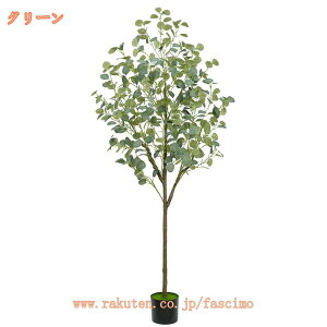 tFCNO[ ^  tFCN 傫  A {  [J ͂Ȃ i̖ ȒP sv QȂ  GgX lH ϗtA Aؔ