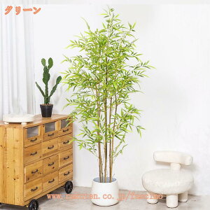 | ou[ ϗtA lH tFCNO[ rO  ItBX l炵  R V  CeAO[ i` _ k ͂Ȃ h  A 傫 {