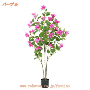 2000~OFFN[| u[QrA tFCNO[ ϗtA tFCN lHϗtA A ^  CeA  ItBX   K^̖ hV̓ Mtg Vv rO