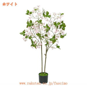 2000~OFFN[| u[QrA tFCNO[ ϗtA tFCN lHϗtA A ^  CeA  ItBX   K^̖ hV̓ Mtg Vv rO