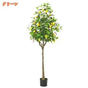 tFCNO[ CeA C~e[V lH ϗtA A   sv ̖ MѐA t  z[ ItBX x_ K[f A  ֐ JtF 