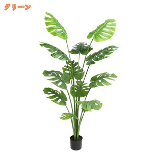 tFCNO[ ϗtA Xe ^ A sv Q̐SzȂ { lHϗtA  A  CeA IV k L R rO lH 