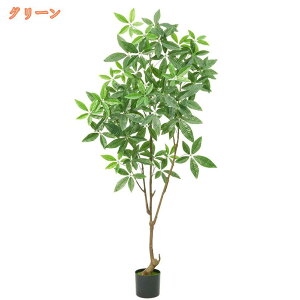 tFCNO[ ϗtA pL ^ A sv Q̐SzȂ { lHϗtA  A  CeA IV k L R rO lH  