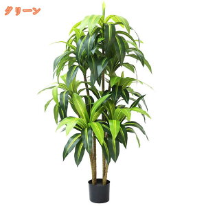 tFCNO[ ϗtA hZi ^ A sv Q̐SzȂ { lHϗtA  A  CeA IV k L R rO lH 