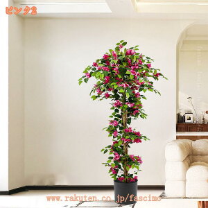 tFCNO[ 썑̉ ^ j JX JƏj CeA  ϗtA tFCNA ItBXp er {  X c Ύ R sv JCC 