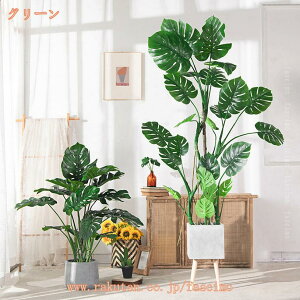 1000~OFFN[| tFCNO[ Xe ^ j JX JƏj CeA  ϗtA tFCNA ItBXp er {  X c Ύ R 