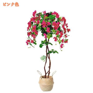 1000~OFFN[| tFCNO[ 썑̉ u[QrA ^ j JX JƏj CeA  ϗtA tFCNA ItBXp er {  X c 