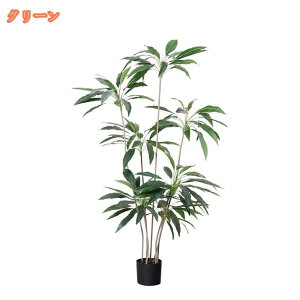 777~OFFN[| tFCNO[ Xg`A ^ j JX JƏj CeA  ϗtA tFCNA ItBXp er {  X c Ύ R 