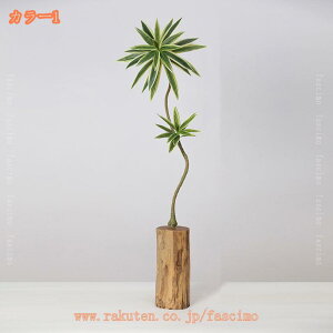�t�F�C�N�O���[�� �l�H�ϗt�A�� �V���v�� �I�t�B�X ���� �C���e���A ���^ ������� �l�H�ϗt�A�� �ȒP�� �����s�v �z�[�� �x�����_ ����p ���̓� ���j�� 1�{�� �} �ؐ��Ԋ� ������30CM fascim