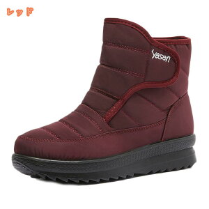 500~OFFN[| Xm[u[c fB[X C WjA V N Xm[V[Y O ~C ȌC {A h  h Ȃ xN JWA [gu[c s 