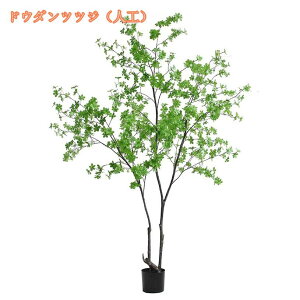 tFCNO[ ϗtA tFCN lHϗtA ^ CeA A  j Vv ItBX  rO  sv ͗lւ  p G  傫 l