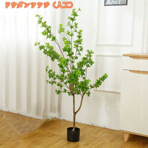 tFCNO[ ϗA lHϗt tFCNϗtA ^ lHϗtA p  tFCN  Vv ItBX  CeA ͗lւ y  j ̓ tFCN