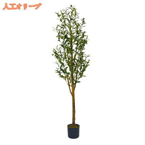 lHϗtA ډB tFCNO[ ^ lHA CeA ϗtA tFCNt rO tFCNO[ lHϗtA tFCNO[ j v[g Mtg zj V