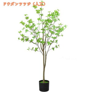 tFCNO[ ϗtA tFCN lHϗtA ^  CeA A  j Vv ItBX  rO  sv ͗lւ  p G  傫