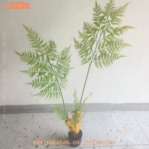 tFCNO[ ϗtA tFCN lHϗtA ^ CeA A  j Vv ItBX  rO  sv ͗lւ  p G  傫 l