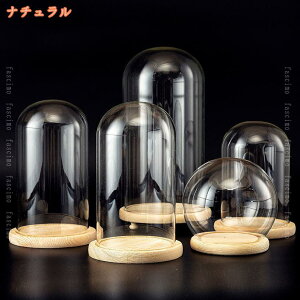 fBXvCP[X KXh[ WG[W ̓W ANZT[ tBMA H|i KXJo[ ho ؐx[X  CeA Xܑ KXP[X fascimo