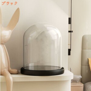 ~ KXh[ WP[X fBXvCJo[ ~jA DIYi iԗp 㑕 tBMAP[X ho  fR[VJo[ i fBXvCP[X fascimo