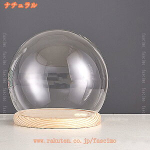 KXh[ ` Jo[ e RNV  fXNgbv WG[/tBMA/iωԕr ̏ ho ̓W [P[X fBXvCP[X fascimo