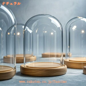 KXh[ fBXvCP[X hoJo[ ؐx[X tBMA ANZT[  CeA Mtg W ʏ  ͌^ fBXvC{bNX RNV fascimo