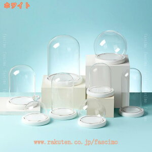 KXh[ tBMA H|i ͌^ ANZT[ RNV l` fBXvC hoJo[ قh~ u  V[P[X ̓WP[X [P[X Mtg fascimo