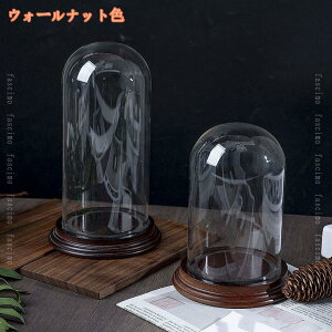 ~ KXh[ [{bNX fBXvCP[X /Q/rO/ ی XܓW iW WG[ ho [P[X h[Jo[ V[P[X Mtg fascimo