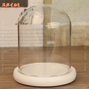 KXh[ ho ی fBXvCP[X [P[X [{bNX tBMA ubN h~x[X /Q/rO/X V[P[X ̓W ` ~ Mtg fascimo