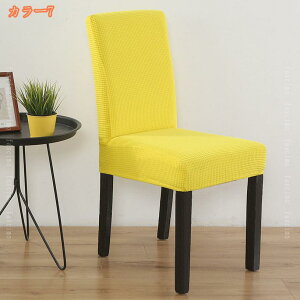 1000~OFFN[| ֎qJo[ 4 CXJo[ Xgb`  _CjO֎qJo[ tBbg `FAJo[ Lkf n tJo[ +w ֎qJo[ G ҂ 􂦂 